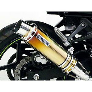 WirusWin Ninja250RpXbvI}t[ X|[c^CvyJMCAF؁z TCT[ ubNJ[{dl ECYEB }t[{ oCN Ninja250R