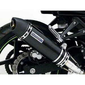 WirusWin Ninja250RpXbvI}t[ [^CvyJMCAF؁z TCT[ ubNJ[{dl ECYEB }t[{ oCN Ninja250R