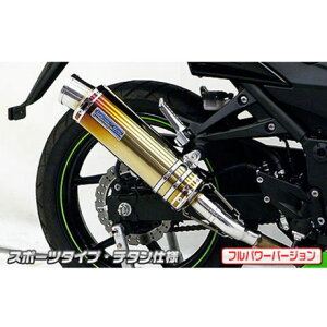 WirusWin Ninja250RiJBK-EX250KjpXbvI}t[ X|[c^Cv tp[o[W TCT[ `^dl ECYEB }t[{ oCN Ninja250R