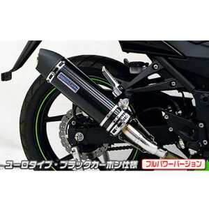 WirusWin Ninja250RiJBK-EX250KjpXbvI}t[ [^Cv tp[o[W TCT[ ubNJ[{dl ECYEB }t[{ oCN Ninja250R