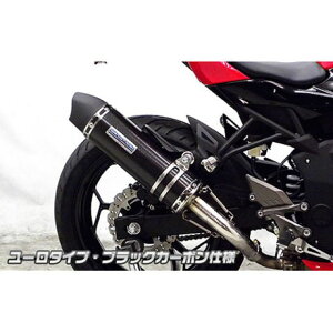 WirusWin Ninja250SLp XbvI}t[ [^Cv TCT[ ubNJ[{dl ECYEB }t[{ oCN Ninja250SL