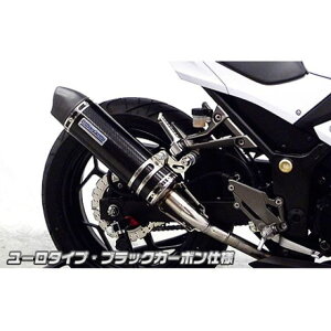 WirusWin Ninja250p XbvI}t[ [^Cv TCT[ ubNJ[{dl ECYEB }t[{ Ninja250