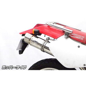 WirusWin XR250iMD30jp XbvI}t[ |bp[^Cv IvV Ȃ ECYEB }t[{ oCN XR250