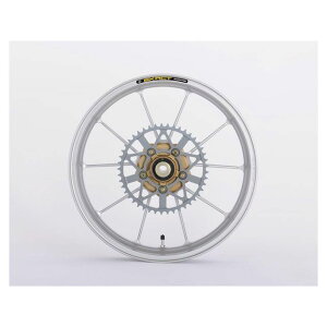 ADVANTAGE ADVANTAGE EXACT II RACING 10 �t���b���A���~�z�C�[�� 275/450-18 �J���[ �V���o�[ 5410R-S003-2SS �A�h�o���e�[�W �z�C�[���{�� GSX-R1100J GSX-R1100G