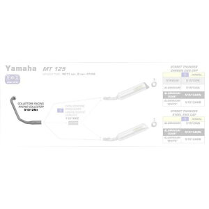 ARROW YAMAHA MT 125 14 1F1 STAINLESS STEEL COLLECTOR FOR SILENCERS b 51012MI arr_51012MI A[ Ci[TCT[ oCN