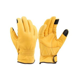 DAYTONA HBG-057 YDEB^[O[u L TCY L 17581 [J[݌ɂ fCgi EC^[O[u oCN