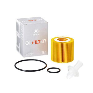 FILT TE-1 g^ NTX Xo _Cncԗp ICtB^[10 TE-1 tBg GW  