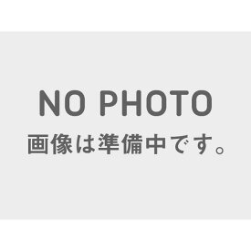 正規品／カワサキ F.スプリング ZX-9R/ZZR1100 J4401-8606-10 KAWASAKI カワサキ バイク