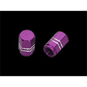 Neofactory wbNX^CvouLbvZbg p[v E025719 [J[݌ɂ lIt@Ng[ GAou֘Ap[c oCN n[[