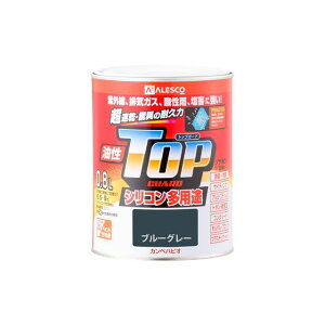 Kanpe Hapio gbvK[h u[O[ 0.8L E00017640371008 JynsI D.I.Y. pi