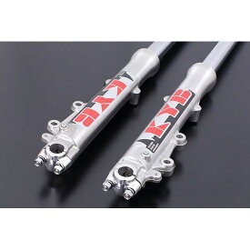 ADVANTAGE 旧KAYABA純正ワークスタイプ （正立Fフォーク用） AD-25 アドバンテージ ステッカー