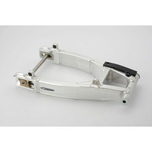 ADVANTAGE ADVANTAGE WORKS Type SWINGARM�i�^�C�v�FA�j 6100-SA00-BF �A�h�o���e�[�W �X�C���O�A�[�� GSX1100S