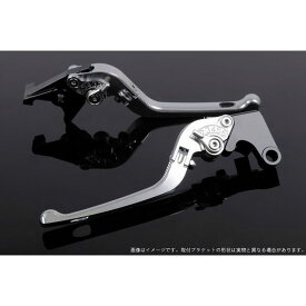 正規品／SPEEDRA アジャストレバー 3D可倒式（レバー本体カラー：シルバー） アジャスターカラー：シルバー LVDG078SR-SR SPEEDRA レバー バイク ADV150