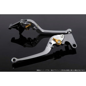 SPEEDRA AWXgo[ X^_[h|io[{̃J[FVo[j AWX^[J[ S[h LVAG081SR-GD SPEEDRA o[ oCN XMAX