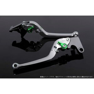 SPEEDRA AWXgo[ X^_[h|io[{̃J[FVo[j AWX^[J[ O[ LVAG081SR-GN SPEEDRA o[ oCN XMAX