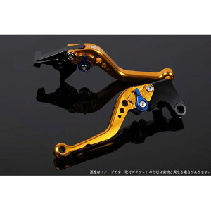 SPEEDRA AWXgo[ X^_[hV[gio[{̃J[FS[hj AWX^[J[ u[ LVCG081GD-BE [J[݌ɂ SPEEDRA o[ oCN XMAX