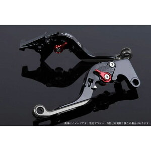 SPEEDRA AWXgo[ |io[{̃J[FubNj AWX^[J[ bh GNXeVJ[ `^ LVGG081BK-RDTM [J[݌ɂ SPEEDRA o[ oCN XMAX