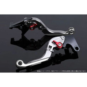 SPEEDRA AWXgo[ |io[{̃J[F`^j AWX^[J[ bh GNXeVJ[ Vo[ LVGG081TM-RDSR SPEEDRA o[ oCN XMAX