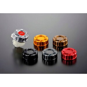 AGRAS tg}X^[V_[Lbv J[ K^ 325-182-000GM AOX }X^[V_[ oCN CBR1000RR-R