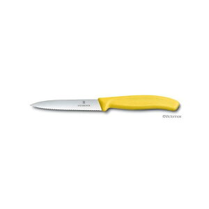 Victorinox yeB[iCt gnCG[10cm6.7736.8E E6.7736.8FCE rNgmbNX Opi Lv