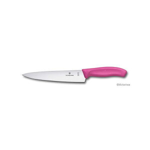 Victorinox VFtiCt 19cm sN 6.8006.19L5E E6.8006.19L5E rNgmbNX Opi Lv