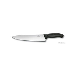 Victorinox [WVFtiCt25cmubN 6.8003.25G E6.8003.25G rNgmbNX Opi Lv