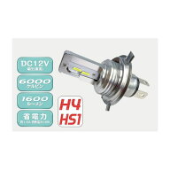 DELTA DIRECT MOTO LED HEAD 12V H4/HS1 D-2134 デルタダイレクト ヘッドライト・バルブ 汎用