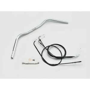 HURRICANE Ch[I[h1^ nhSETiN[bLj H717-076C nP[ nh֘Ap[c W800