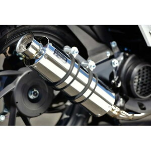 BEAMS SS300 \jbNSP {F G199-07-000 r[X }t[{ oCN Dio110