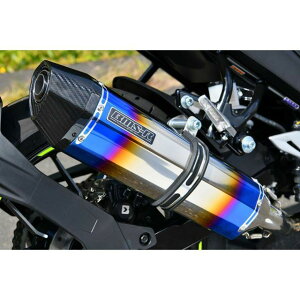 BMS RACING FACTORY CORSA-EVO II q[g`^TCT[ {F G344-65-S1J BMS }t[{ oCN GIXER SF250