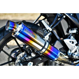 BMS RACING FACTORY R-EVO q[g`^TCT[ {F G340-53-S1J BMS }t[{ oCN GSX-R125 GSX-S125