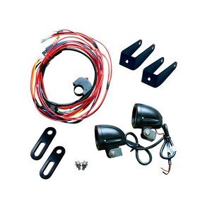 WW CRF250Li2020`jp tHOv fog-2 [J[݌ɂ [hEH[N wbhCgEou 250Ls