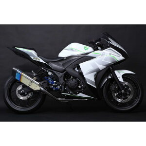 TRICKSTAR {F؃XbvI}t[ IKAZUCHI ăXeX JSS-203A-L4YS gbNX^[ }t[{ oCN YZF-R25
