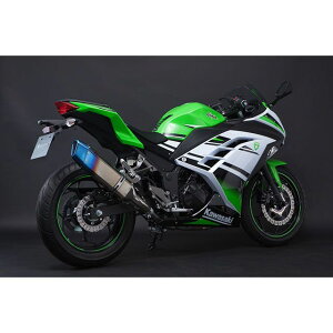 TRICKSTAR {F؃XbvI}t[ IKAZUCHI JSS-015D-L4YT gbNX^[ }t[{ oCN Ninja250 Z250