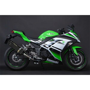 TRICKSTAR {F؃XbvI}t[ IKAZUCHI ubNGfBV JSS-015D-L4BT gbNX^[ }t[{ oCN Ninja250/Z250