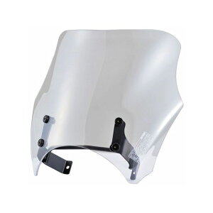 DAYTONA Blast BarrieriRjԎʃLbgiNA[j 21629 fCgi XN[֘Ap[c oCN Rebel1100/DCT