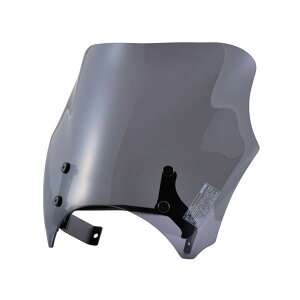 DAYTONA Blast BarrieriRjԎʃLbgiX[Nj 21622 [J[݌ɂ fCgi XN[֘Ap[c oCN Rebel1100/DCT