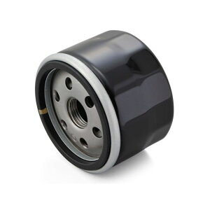 DAYTONA vCXICtB^[ J[gbW BMWp F-25 21043 [J[݌ɂ fCgi GWICp[c oCN