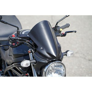 Saitaniya Factory �o�C�U�[�J�E��/���Q�� ES0SV6FBC-B �˒J���t�@�N�g���[ �J�E���E�G�A�� SV650