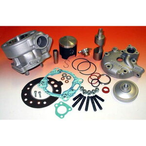 ATHENA Cylinder Kit With Head P400485100010 �A�e�i �{�A�A�b�v�L�b�g GPR125