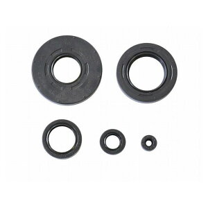 ATHENA Engine OilSeals Kit P400210400172 Aei ̑GW֘Ap[c oCN TRX 500 FGA FOURTRAX FOREMAN RUBICON TRX 500 FA