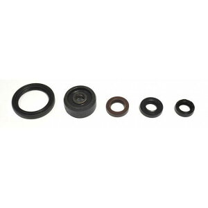 ATHENA Engine OilSeals Kit P400485400154 アテナ その他エンジン関連パーツ バイク WR250R /X