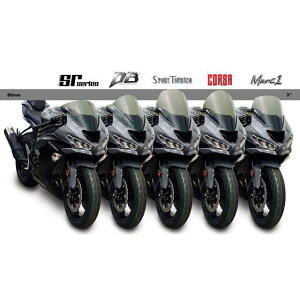 ZEROGRAVITY �X�N���[�� �R���T�i�N���A�j 2424701 �[���O���r�e�B �X�N���[���֘A�p�[�c ZX-6R