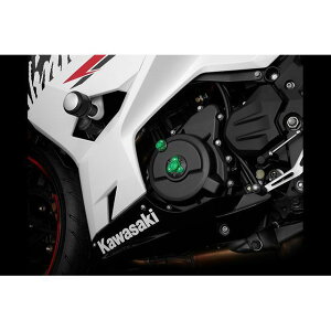 BIKERS �G���W���v���O 2�P �J���[ �O���[�� K0230-GRN �o�C�J�[�Y ���̑��G���W���֘A�p�[�c Ninja400/250