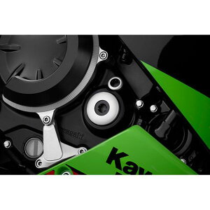 BIKERS WFl[^[vO J[ Vo[ K0379-SLV oCJ[Y ̑GW֘Ap[c oCN Ninja650/Z650