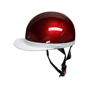 ISHINO SYOKAI LbvCREiFS605B-CREj FS605B-CRE Ζ쏤 n[twbg oCN