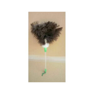 ishizuka-umo I[Xgo^Lij/i250mmj 30010 [J[݌ɂ ΒˉH ԁEeiX  