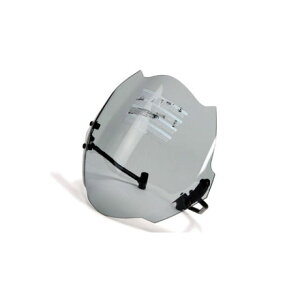 Puig �j���[�W�F�l���[�V�����X�N���[�� �J���[ �X���[�N 4357H �v�[�` �X�N���[���֘A�p�[�c HORNET 600