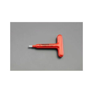 ESCO 5.0x110mm Zp_`/T^i≏j EA640LL-5 GXR dH oCN   ]