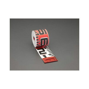 ESCO 100mmx10m ʃe[v EA720MC-110 GXR v@ oCN   ]